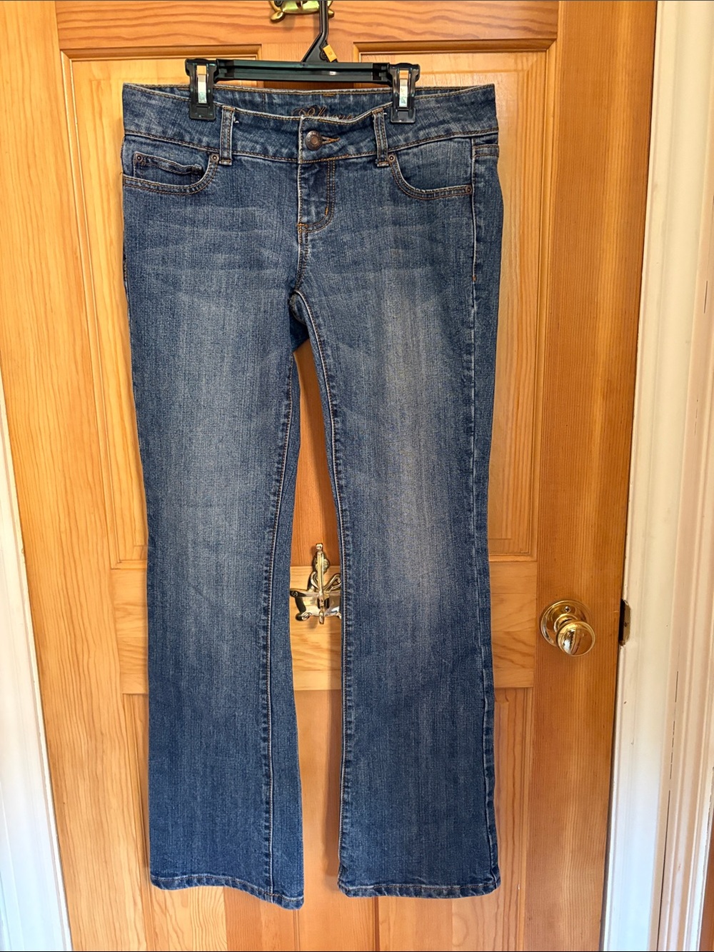 Bluenotes Women's Medium Blue Flare Jeans